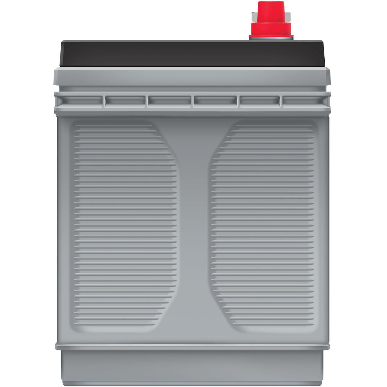EverStart Platinum AGM Marine and RV Deep Cycle Battery, Group Size 31M, 12 V, 1030 MCA, 825 CCA