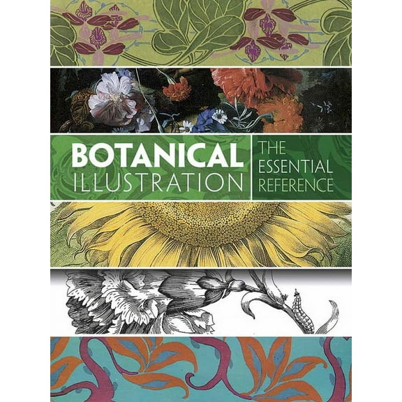 Botanical Illustration: The Essential Reference (Paperback)