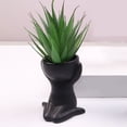 thumbnail image 3 of Jarrón De cerámica Sunnimix para Plantas Suculentas Negro 6x6x9.5cm, 3 of 7