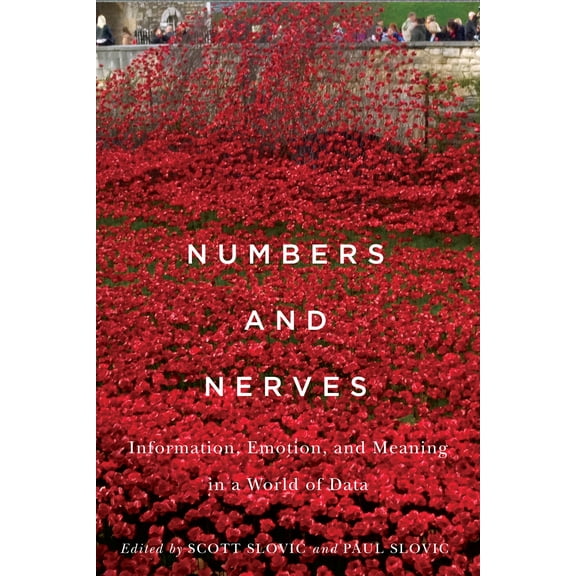 Numbers and Nerves : Information, Emotion, and Meaning in a World of Data (Paperback)