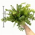thumbnail image 3 of Dadiaei Artificial Eucalyptus Leaves Stems with Boston Fern, UV Resistant Fake Greenery Branches for Vase, Wedding, Floral Arrangements, Indoor Outdoor Home Decor, Faux Shrub Bushes, 24 Inches, 3 of 8