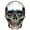 Pixel Skull, variant on TalkingCase Slim Fit Phone Case Compatible for Samsung Galaxy S25(Not S25 Plus/Ultra), Pixel Skull Print, Lightweight,Flexible, USA Print
