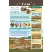 Fossils Poster