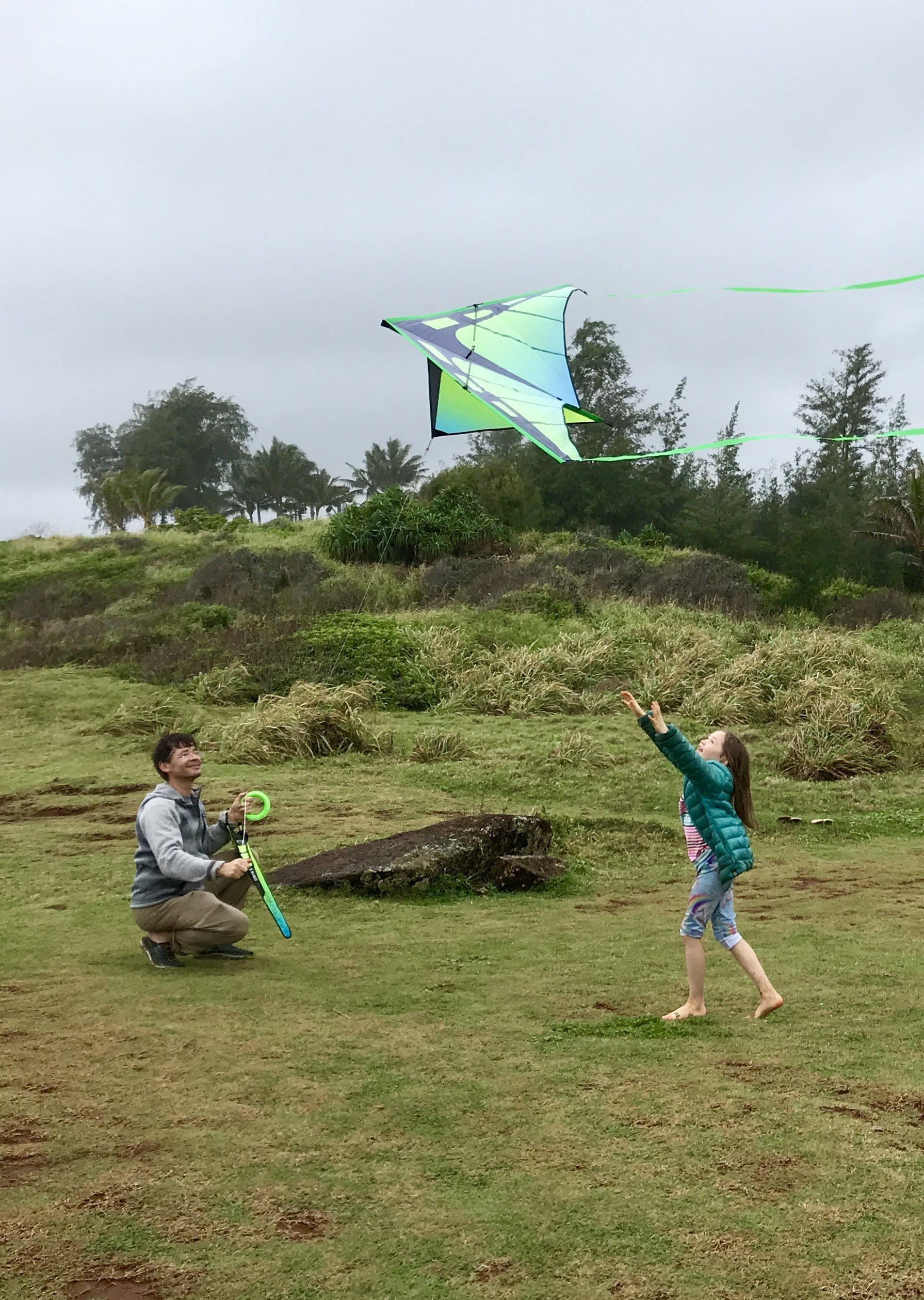 Prism Kite Technology Zenith 5 Single Line Delta Kite