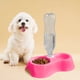 thumbnail image 5 of Comedero doble antideslizante para mascotas, pequeño y ovalado, con diseño elevado para perros y gatos pequeños. Platos elevados fáciles de limpiar para una alimentación sin complicaciones., 5 of 7