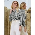 thumbnail image 2 of DARING DIVA Women's Satin Striped Shirt Long Sleeve Office Blouse XL Black White, 2 of 6