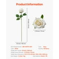 thumbnail image 6 of VEVOR Artificial Flowers, 60 pcs Real Looking White Foam Fake Roses Bulk, White Faux Bridal Shower with Stems for DIY Wedding Bouquets, Home Centerpieces Arrangements, Party Tables Decorations, 6 of 9