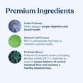 thumbnail image 3 of Honest Paws Well Pre+ Probiotics Supplement Powders for Dogs, Chicken Flavor, 30 Count Pouch, 3 of 9