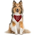 thumbnail image 2 of C'est Ma Journée Gotcha Bandana pour Chien, Bandana pour Chien, Foulard pour Animal à Carreaux Buffalo Rouges, Accessoires de Foulard pour Chien, Foulard Triangle pour Chien, Bandana pour Chien pour Petits Moyens Grands Chiens, Bandana Drôle et Mignon pour Chien (C62), 2 of 4