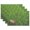 C380, variant on Ryvnso Placemats Set of 4 Football Grasses Dining Mats Heat-Resistant Non-Slip Washable Table Mat