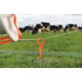 thumbnail image 4 of Ring-Top Fence Post for Electric Fencing and Marking | 50 Pack | Lightweight, Easy Installation, and Ideal for Rotational Grazing, Temporary Fencing, and Marking, 4 of 4