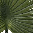 thumbnail image 4 of 41" Anemone Light Green Leaf Stem - Light Green, 4 of 4