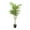 Green Indoor Outdoor Solid Cluster 39" x 39" x 61", variant on DecMode 74" Artificial Fiddle Leaf Tree in Realistic Leaves