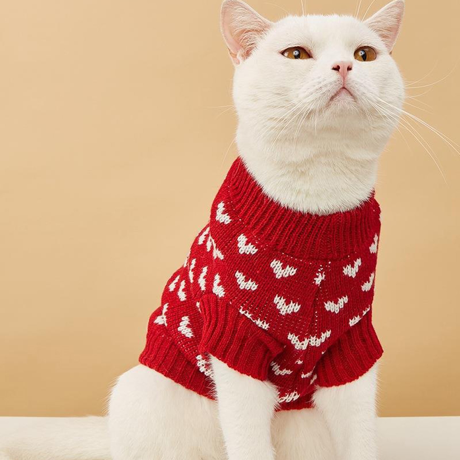Valentine's Day Dog Cat Sweater Dog Cat Valentines Day Clothes For Cat ...