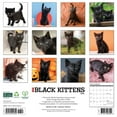 thumbnail image 2 of Willow Creek Press, Black Kitties 2025 Wall Calendar, 2 of 4