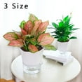 thumbnail image 4 of Transparent Self-Watering Plant Flower Plastic Pot Planter Home Garden Decor, 4 of 6