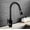 Black, variant on Faucets, Kitchen Faucets Brass Pull Out Kitchen Mixer Tap with Aerator 2 Way Function Water Mixer Deck Mounted Single Handle Sink 360 Swivel,Chrome