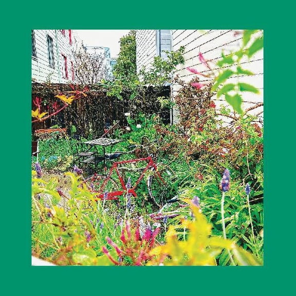 Reds Pinks & Purples - Unwishing Well - Music & Performance - Vinyl