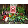 thumbnail image 4 of Eveokoki Vegetable Signs For Garden With Stake Tomato Yard Sign Vegetable Garden Label Stakes Plant Markers For Outdoor Plants Waterproof 8x12inch Nursery Garden Fruit Outdoor Sign, 4 of 7