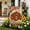 Color 2, variant on Rdsfhsp Peace Be Upon This House Garden Flag 12x18 Inch, Linen Scripture Quote Yard Flag, Double Sided Outdoor Porch Lawn Faith Decor