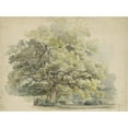 thumbnail image 3 of George Andries Roth 24x19 Black Modern Framed Museum Art Print Titled - Tree Study (1819 - 1887), 3 of 5