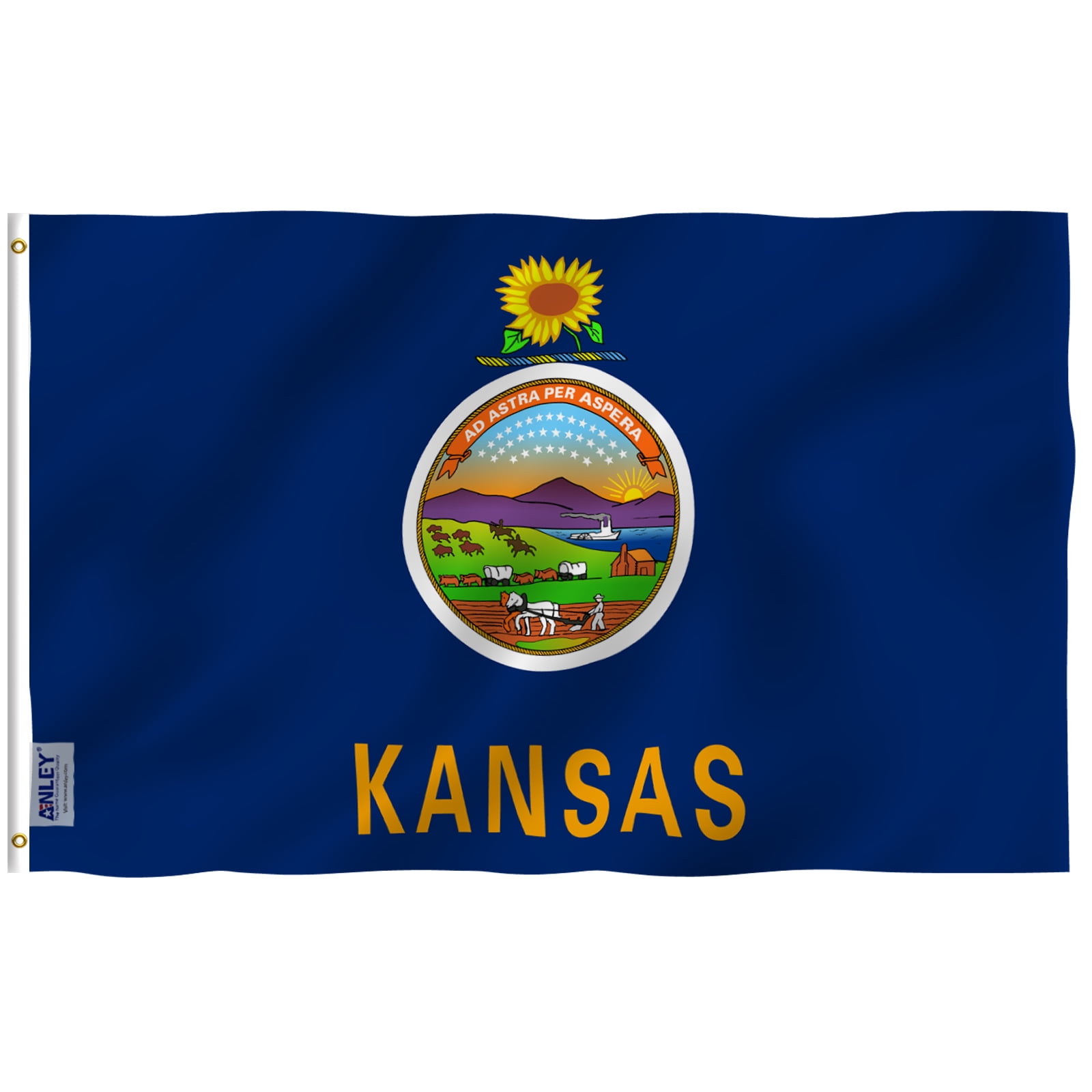 Kentucky Flag KY State Banner Pennant 2x3 foot Indoor Outdoor 24x36 inches New 