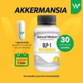 thumbnail image 3 of Akkermansia 30 Cápsulas Natural Wisdom | Jengibre y Berberina | Apoya la Salud Intestinal y la Microbiota | Suplemento Alimenticio, 3 of 7