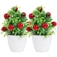 thumbnail image 1 of KAKOWELY 2 piezas de árbol frutal artificial en maceta, bonsái, accesorio decorativo, 1 of 4
