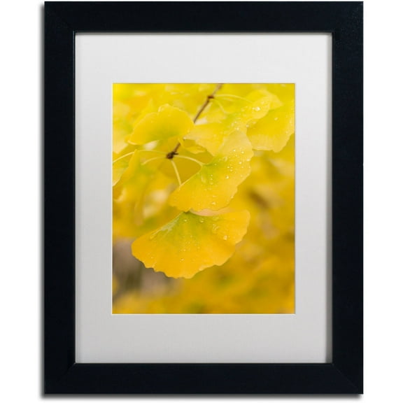 Trademark Fine Art "Millennium" Canvas Art by Philippe Sainte-Laudy White Matte, Black Frame