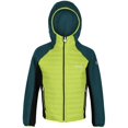 thumbnail image 3 of Regatta - Chaqueta Aislante Kielder V para Niños/Niñas (Kiwi Llamativo, Verde Pacífico), 3 of 3
