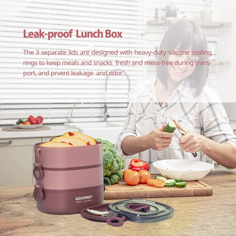 DANIA & DEAN Bento Box Lunch Box for Adult/Kids, 2 Stackable Portable  Leak-proof Large
