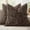Brown, variant on THOPBPRK Textured Throw Pillow Covers Thick Chenille Decorative Pillows Sage Green 18x18 Inch Set of 2 Modern Boho Farmhouse Spring Home Decor Neutral Cushion Covers for Couch Sofa Living Room
