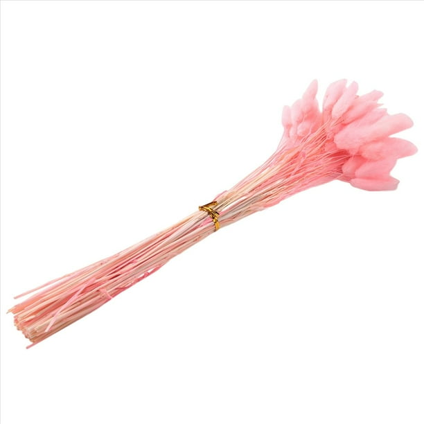 60 Piezas de Flores Secas de OtoñO Colas de Conejo Flores Secas Lagurus Ovatus Hierba de Cola de Conejo para Flores Secas (Rosa)