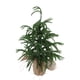 thumbnail image 1 of Mini Árbol De Navidad, Pet Green Green Artificial Christmas Tree Tabletop Exhibición Con Puntas De Nieve Para La Decoración Del Hogar De Vacaciones Centro De Comedor, 1 of 7