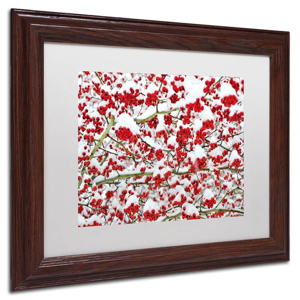 Trademark Fine Art "Winter Berries in the Snow" Canvas Art by Kurt Shaffer White Matte, Wood Frame