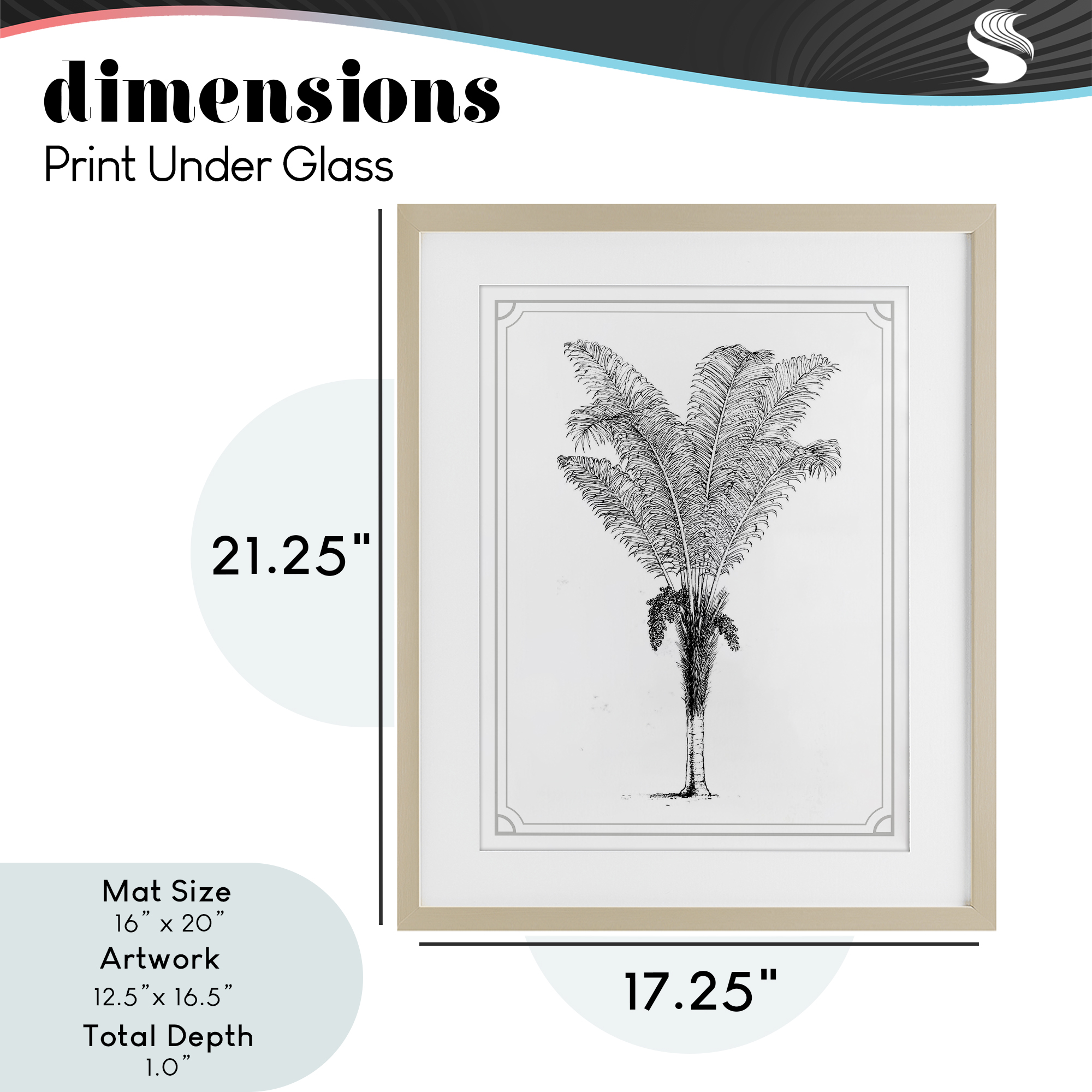 Vintage & Minimal Palm Birch Framed Print Under Glass, design by Lettered and Lined