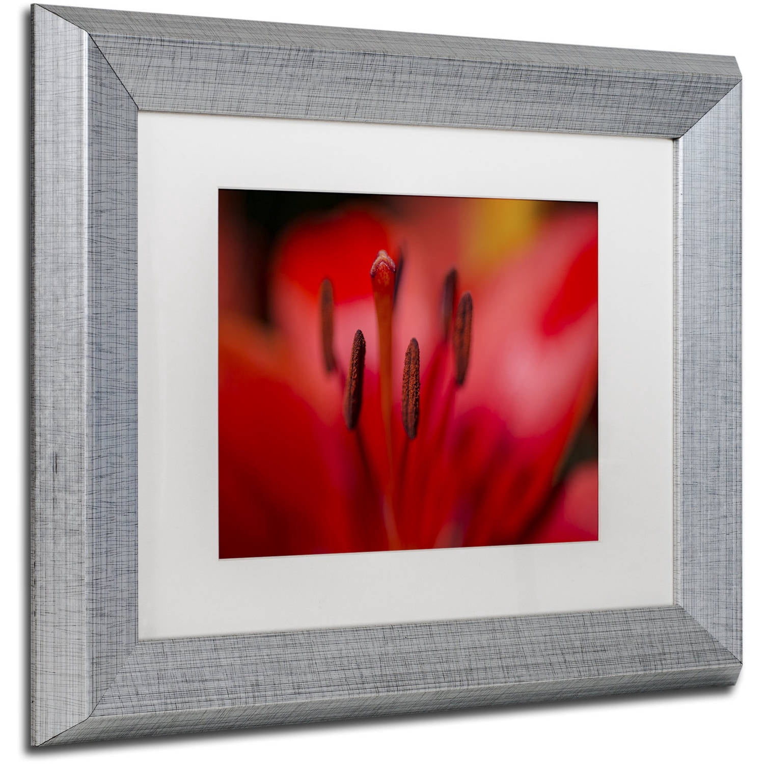 Trademark Fine Art "Red Lily Pistils" Canvas Art by Kurt Shaffer, White Matte, Silver Frame