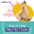 thumbnail image 6 of Peterinarian lavender & mint 2-in-1 dog shampoo & conditioner, cleans, moisturizes, soothes 8oz, 6 of 6
