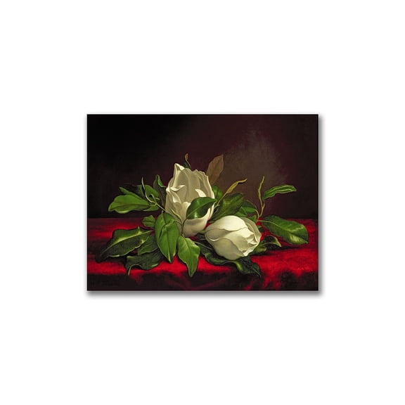 Trademark Fine Art Martin Heade 'Magnolia' Canvas Art (BL0539-C2232GG)