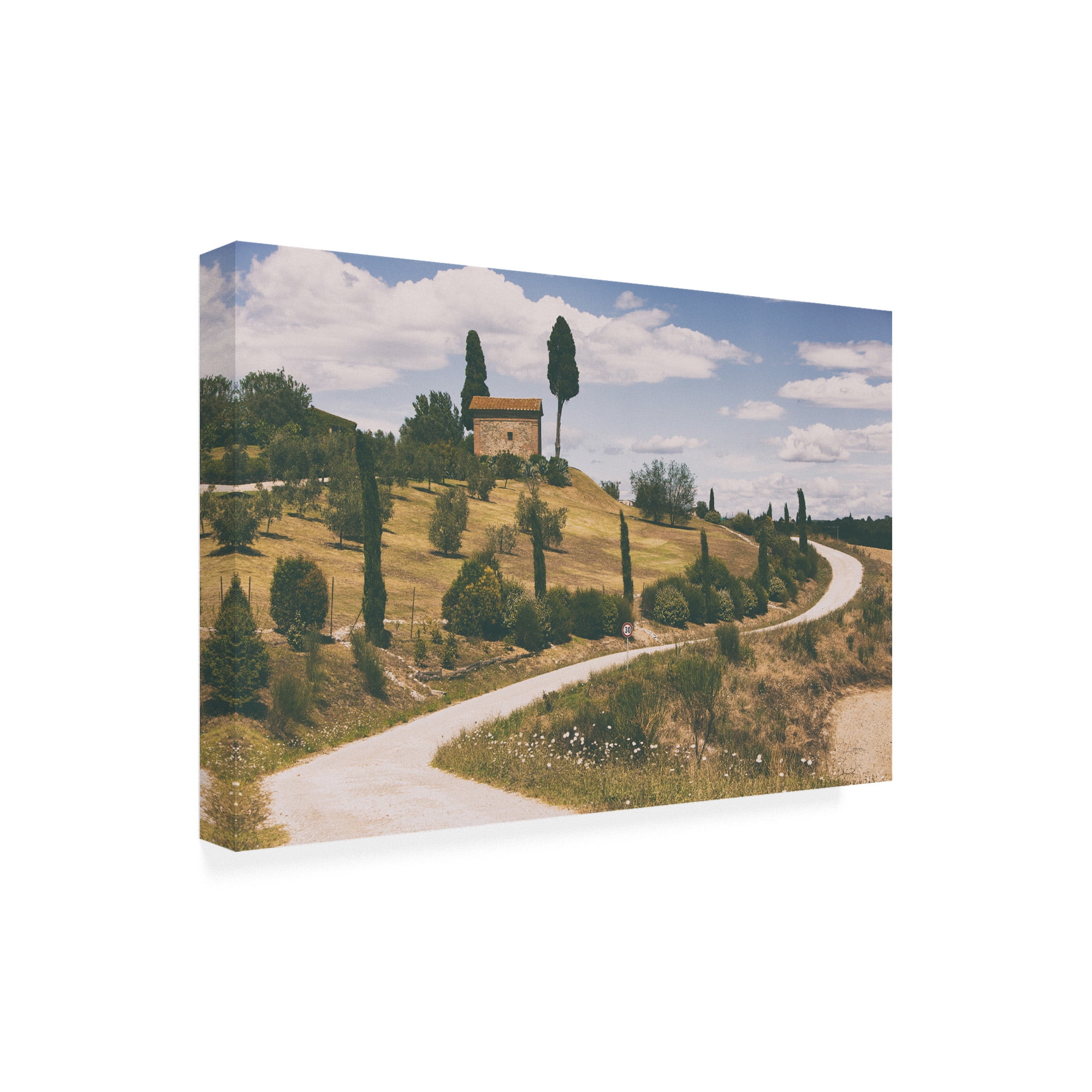 Strada Bianca I' Canvas Art by Aledanda