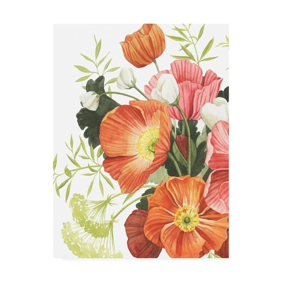 Trademark Fine Art 'Blossom Solstice II' Canvas Art by Grace Popp