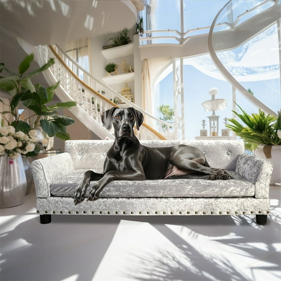 BingoPaw Canapé Extra Large pour Chien : Canapé de Luxe en Velours pour Animaux de Compagnie - Cadre en Bois Chaise Surélevée pour Chiot avec Coussin Confortable Gris TG (120x74cm)