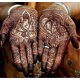 thumbnail image 2 of Natural Indian Henna Paste Cone for Temporary Tattoo,3pcs, 2 of 4