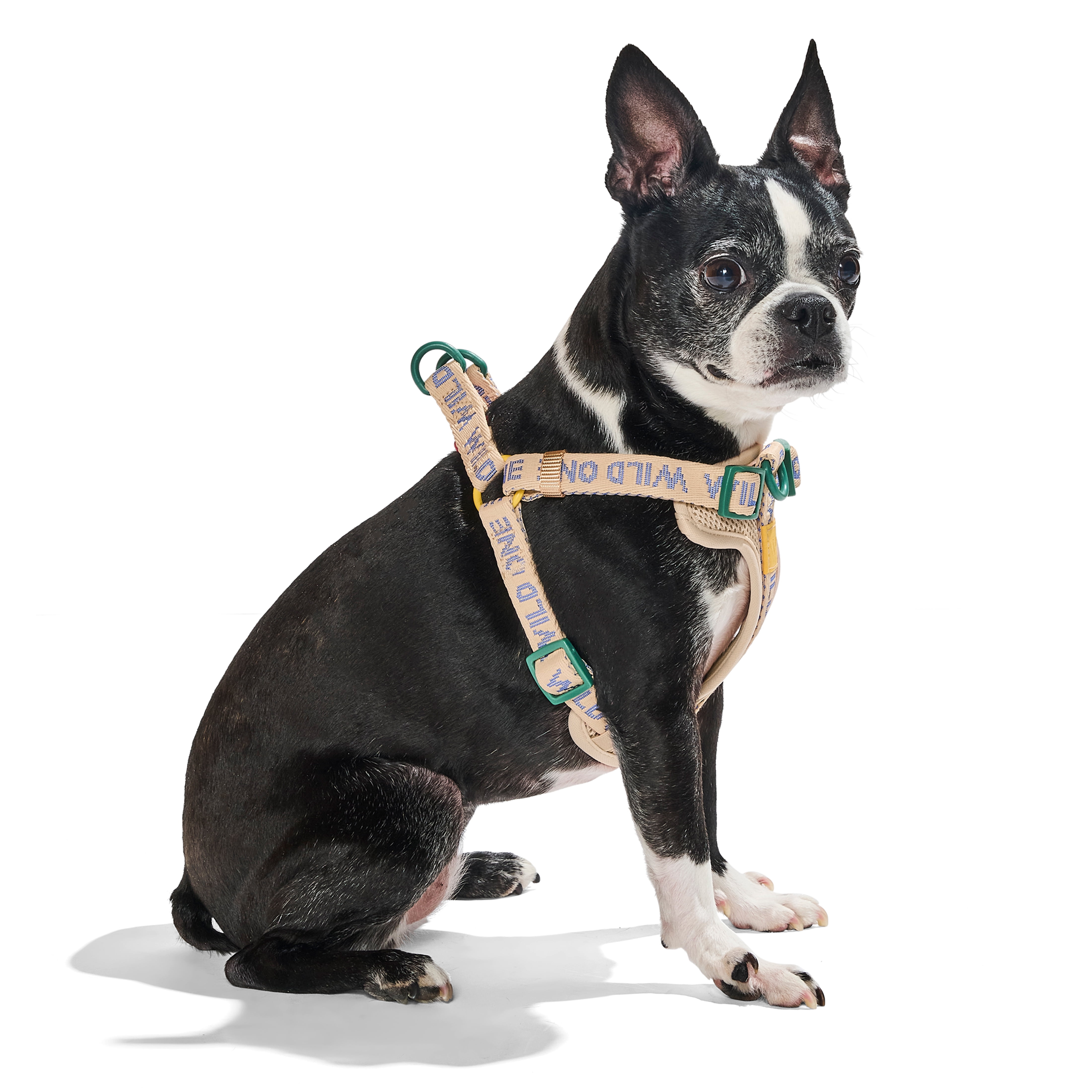 Wild One Adjustable Cushioned Step-In Dog Harness, Retro Tan Colorblock, Small