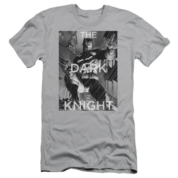 Batman Fighting The Storm S/S Adult 30/1 T-Shirt-Silver