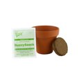 Buzzy Mini Terra Cotta Grow Kit Guaranteed to Grow Sunflower