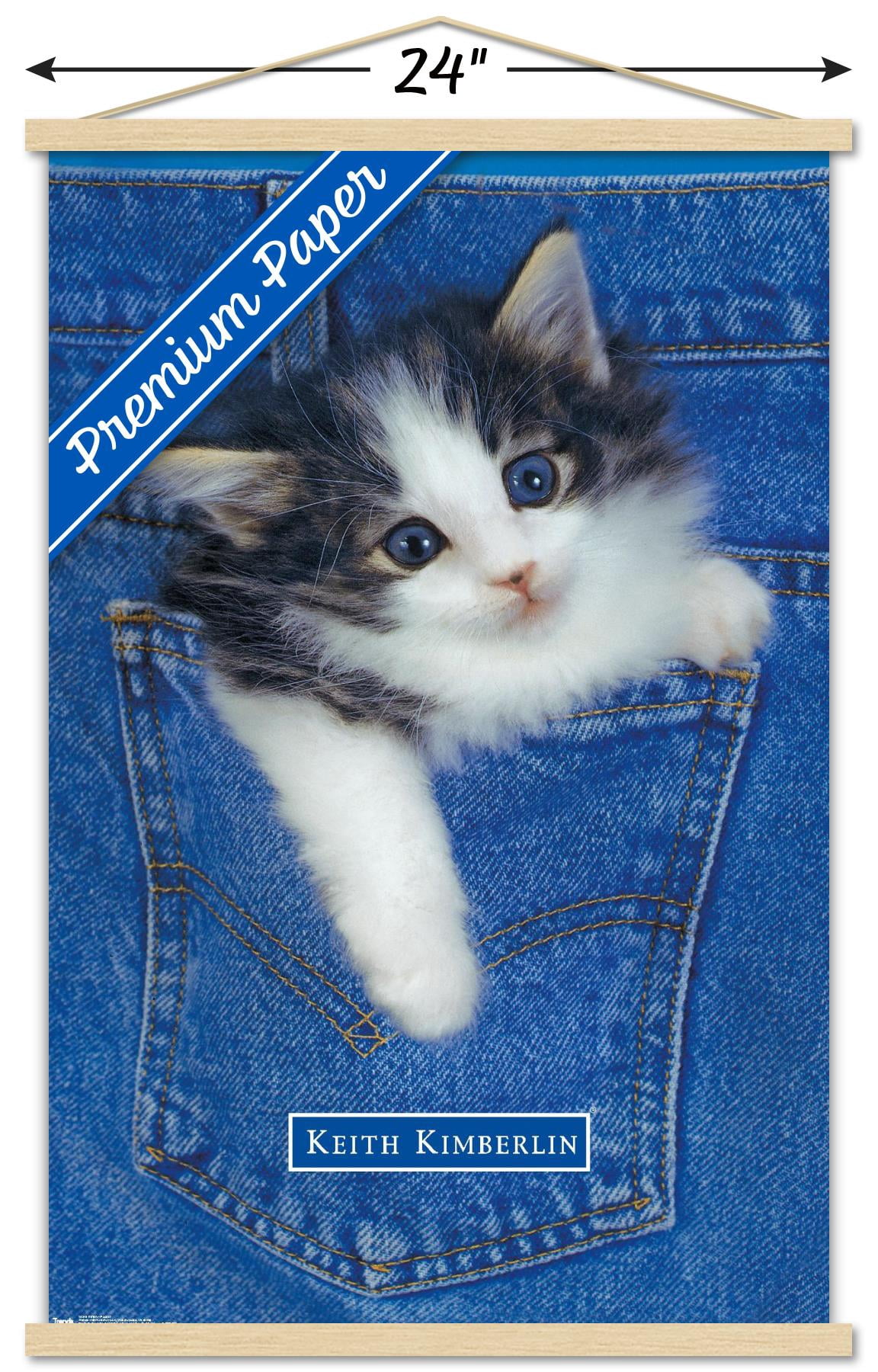 Keith Kimberlin - Kitten - Pocket Wall Poster with Wooden Magnetic Frame, 22.375" x 34"