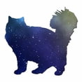 thumbnail image 1 of Fluffy Cat Kitten - Vinyl Decal Sticker - 4" x 3.75" - Galaxy, 1 of 4