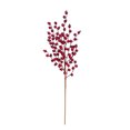 thumbnail image 1 of Holiday Time Branche de Baies Rouges, 1 of 4