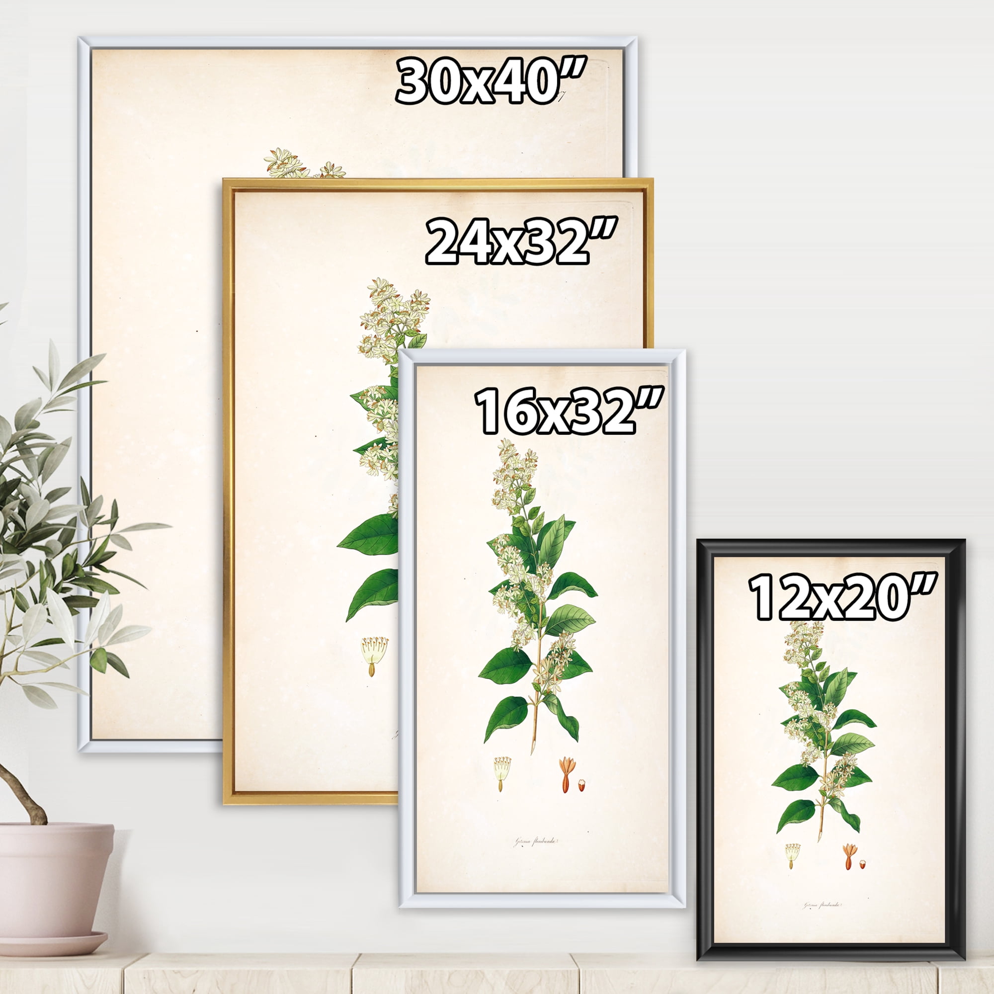 Designart 'Ancient Botanicals XVII' Farmhouse Framed Canvas Wall Art Print